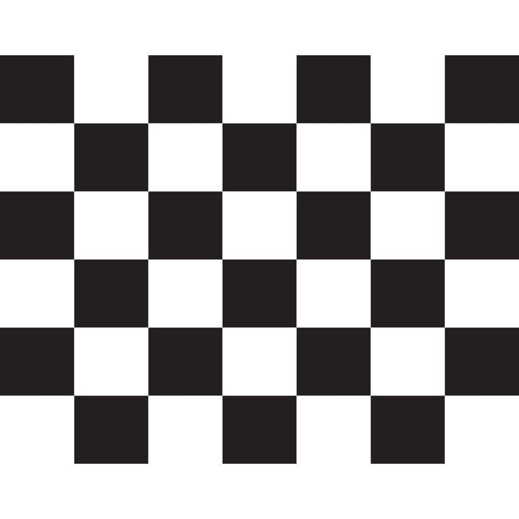 Checkered (Black & White) Car Flag - Detail Direct