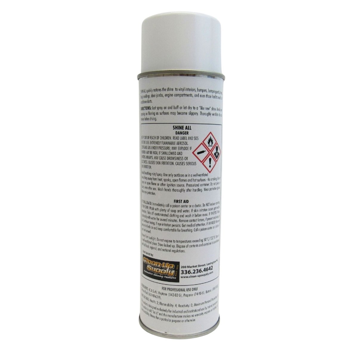 Clean-Up Supply Shine All Detail Spray - Detail Direct