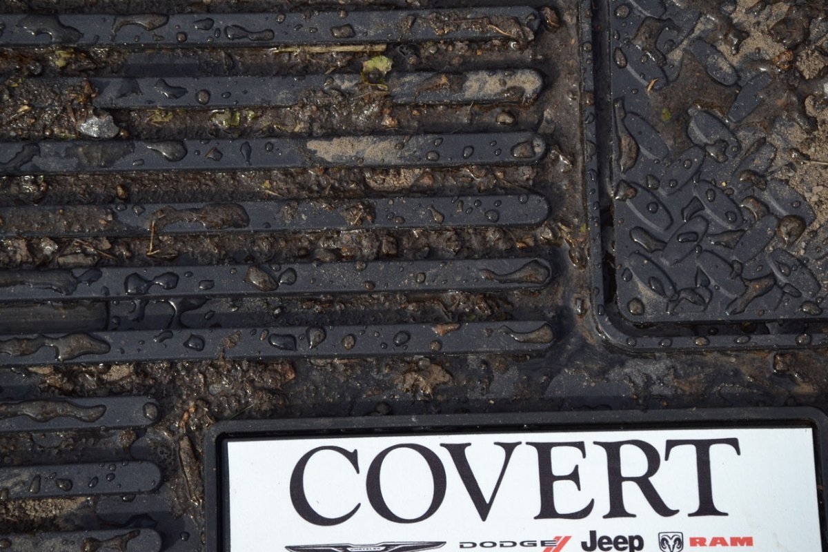 Custom Printed All - Weather Car Mats (2 - Piece Set) - Detail Direct