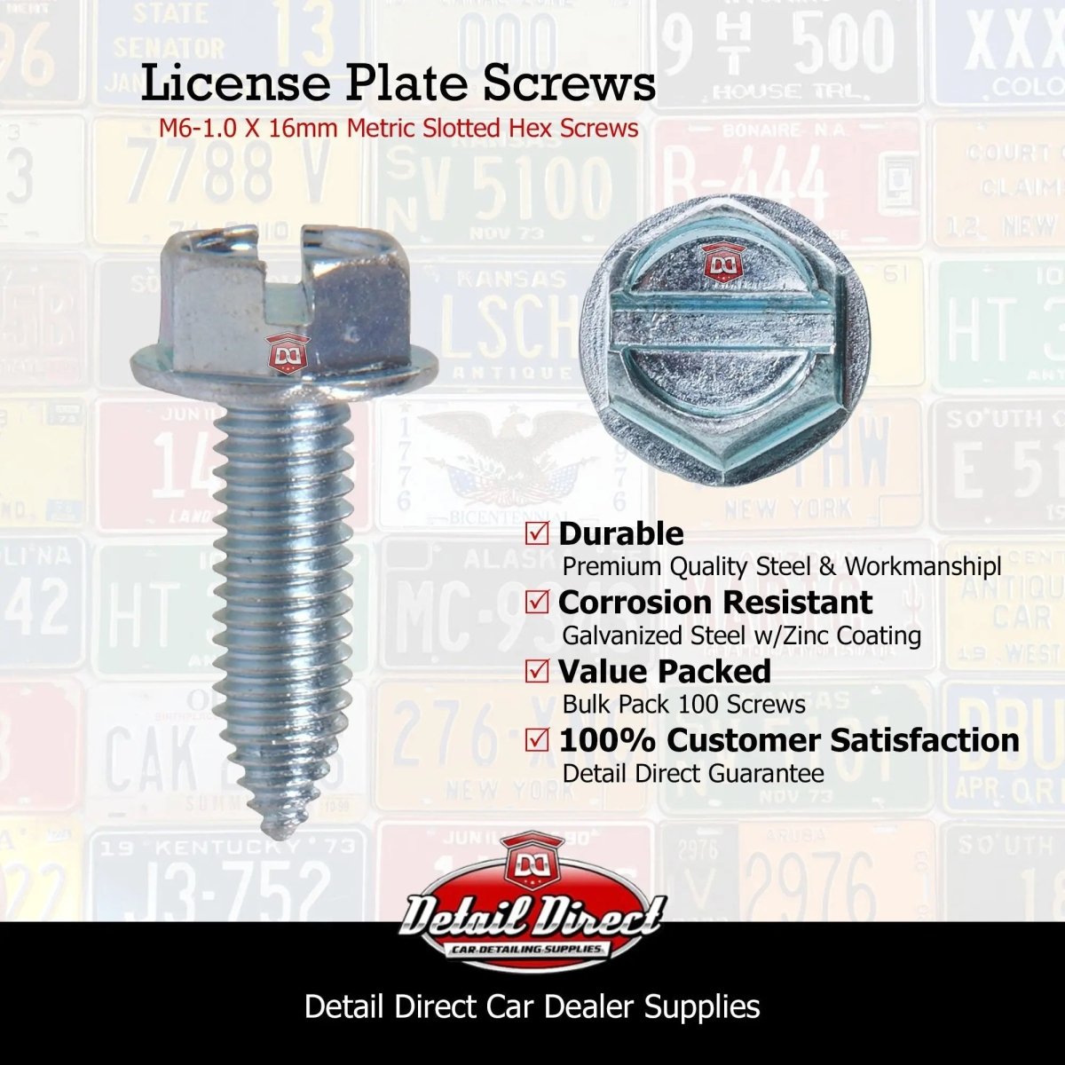 DETAIL DIRECT License Plate Screws Metric Hex Head 6mm x 16mm (100 Pack) - Detail Direct