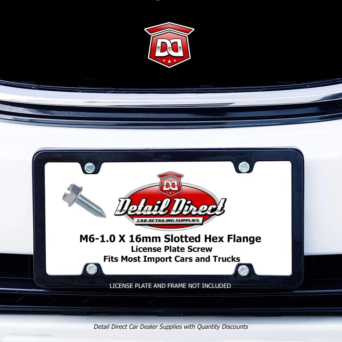 DETAIL DIRECT License Plate Screws Metric Hex Head 6mm x 16mm (100 Pack) - Detail Direct