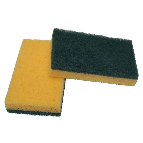 DETAIL DIRECT Scrub Sponge (12 Pack) - Detail Direct