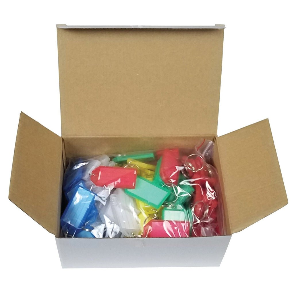 Plastic Key Tags with Split Ring & Label Window (Package of 100) - Detail Direct
